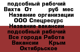 подсобный рабочий . Вахта. От 30 000 руб./мес. › Название организации ­ ООО Спецресурс › Название вакансии ­ подсобный рабочий - Все города Работа » Вакансии   . Крым,Октябрьское